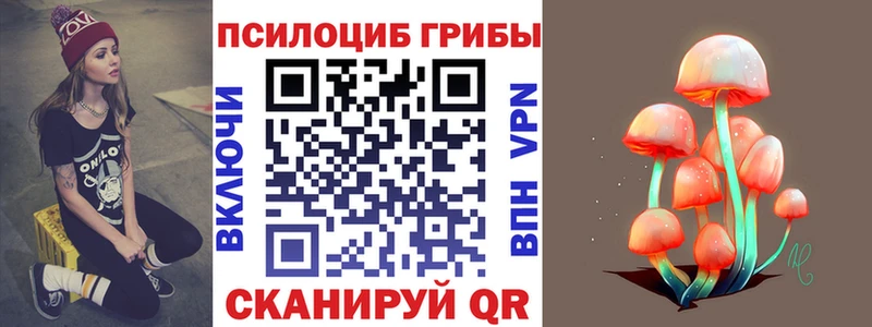 Галлюциногенные грибы Psilocybe  Алейск 